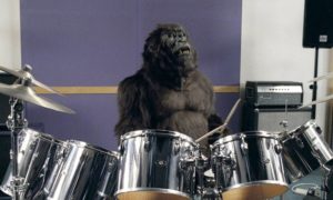 cadburys-gorilla